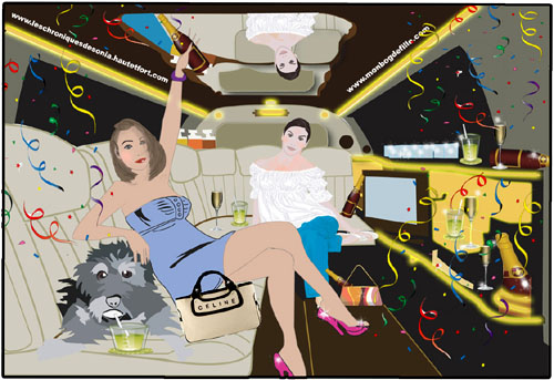 dans-la-limousine-01