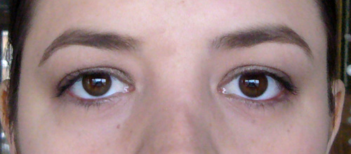 lytanie-brun-ouvert1