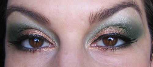 feuillage d'automne 1