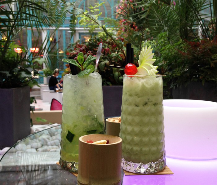 jardin_hiver_westin_5