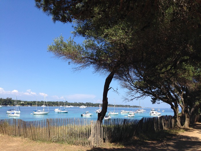 nouveaux_solaires_shiseido_wetforce 2