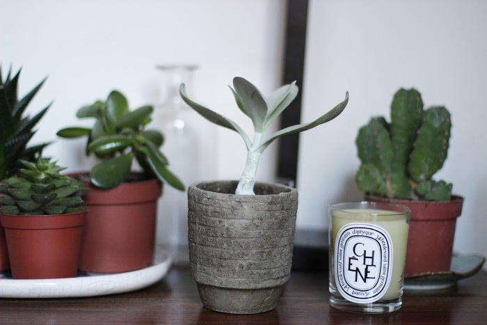 trop froid pour sortir 6