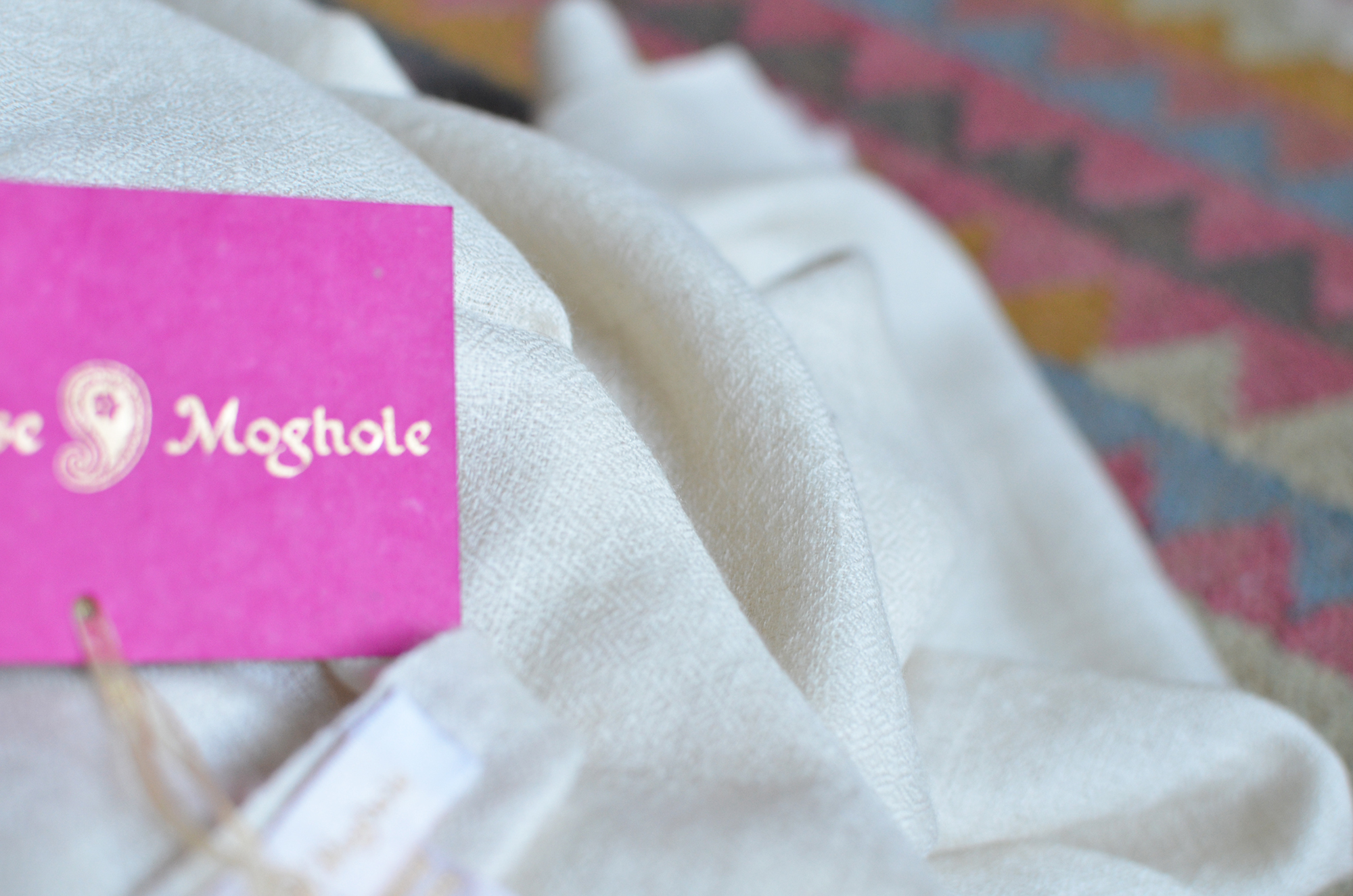 pashmina_princesse_moghole_2