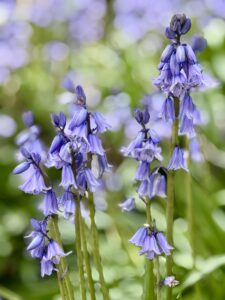 Une semaine avec moi #25 – Paris en avril